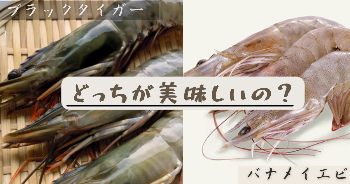 ブラックタイガーとバナメイエビどっちが美味しいの それぞれの違いについて解説いたします